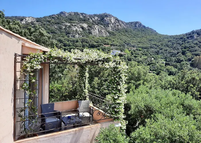 U Paradisu 3* 维琪奥港